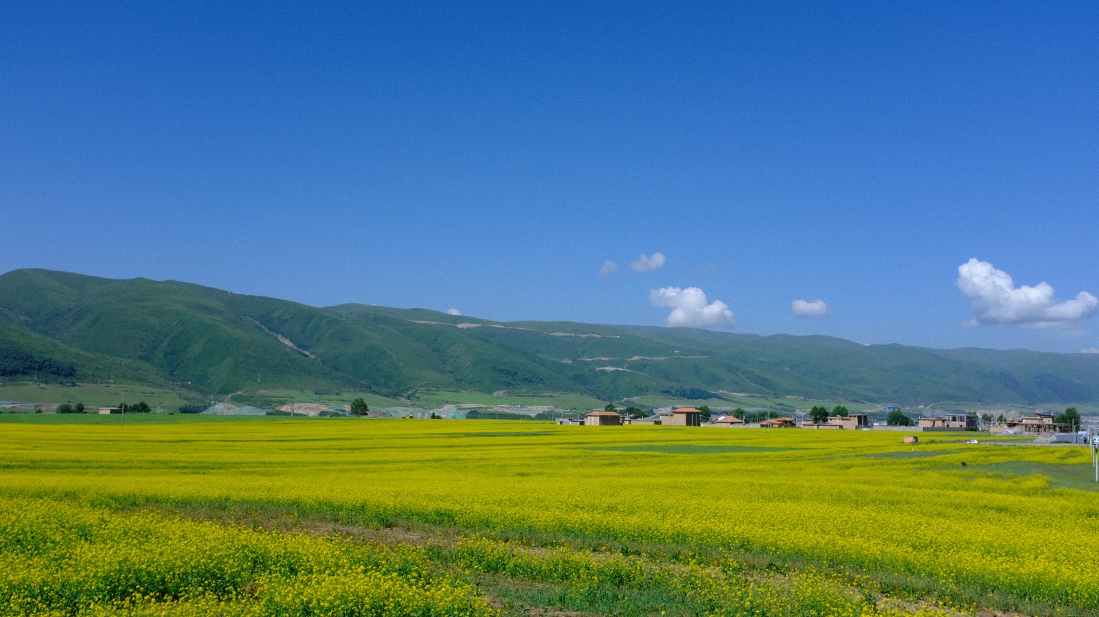DSCF4050.JPG