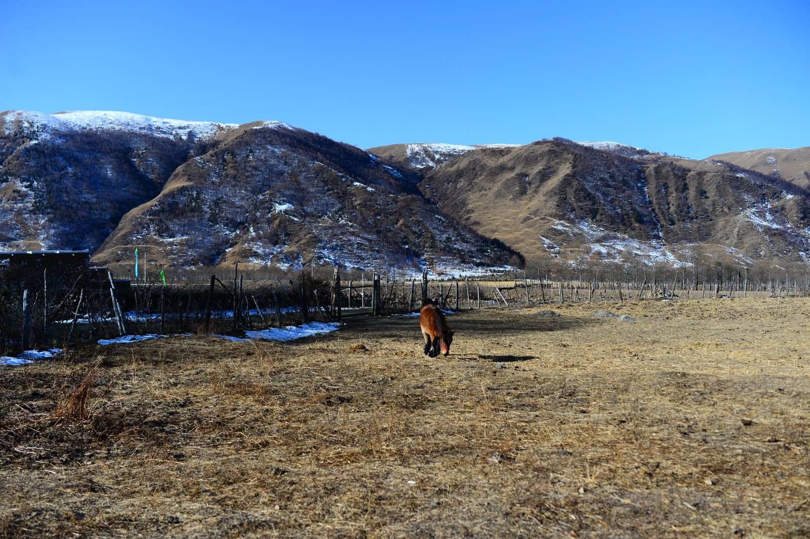 DSC_8564.JPG