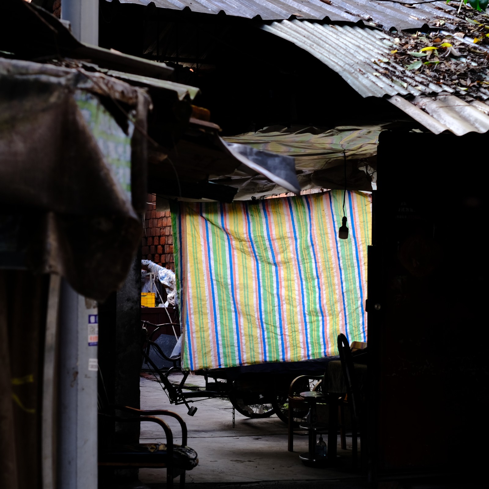 28624815.jpg DSCF9901.JPG