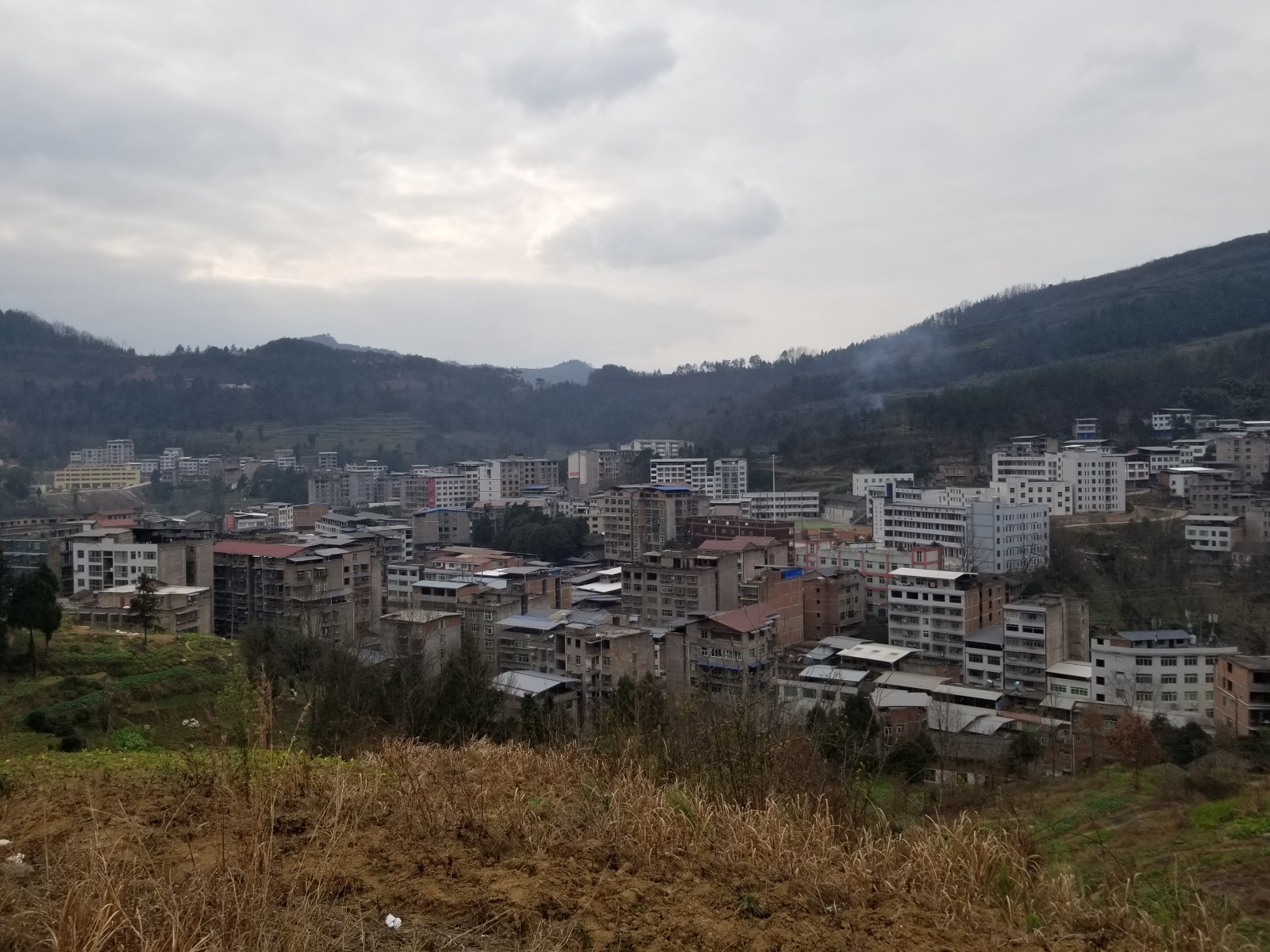 33790440.jpg