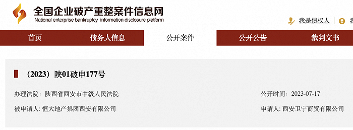 36043100.png 168965227732541900_a700xH.png