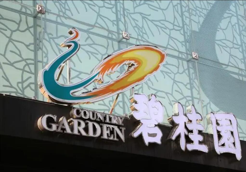 碧桂园危机启示