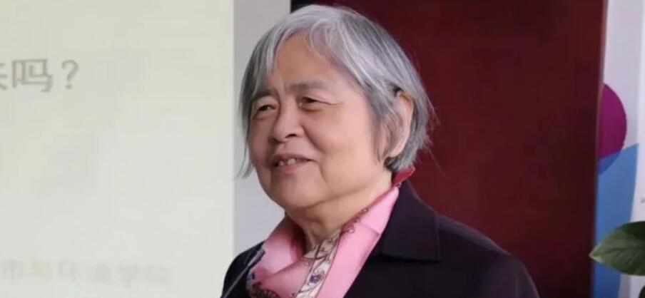 北大教授王缉慈：如何激发产业园区的绿色低碳转型动力