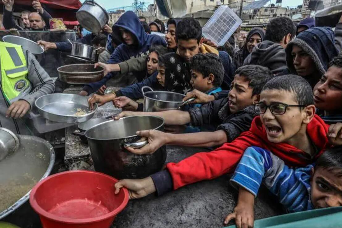 世界银行：加沙一半以上的人口处于饥荒边缘