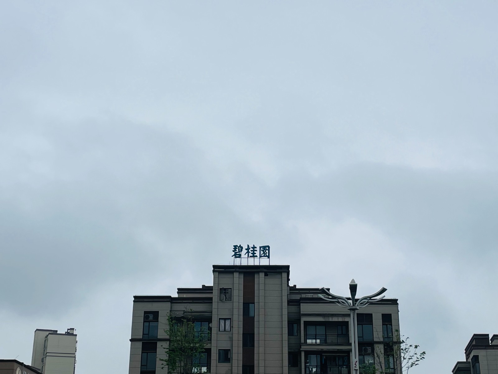55518292.jpg