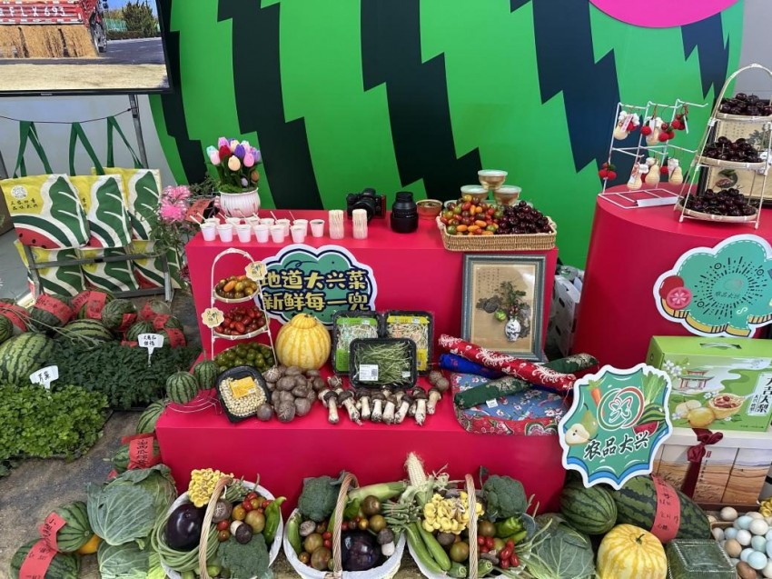 以瓜为媒 绘就发展“兴”图景——第37届北京大兴西瓜节启幕(图8)