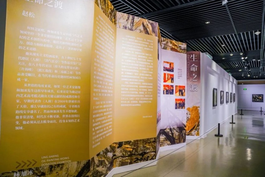 “生命之渡——林加冰油画作品捐献展”在芜湖市博物馆开幕(图5)
