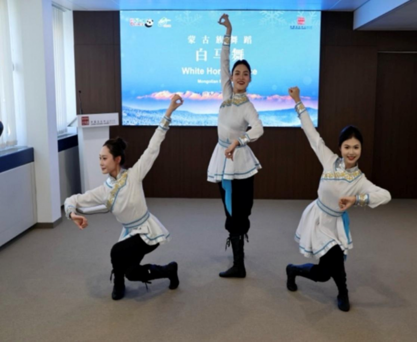 中国与瑞士文化交流合作开启新篇章——伯尔尼中国文化中心正式揭牌(图10)