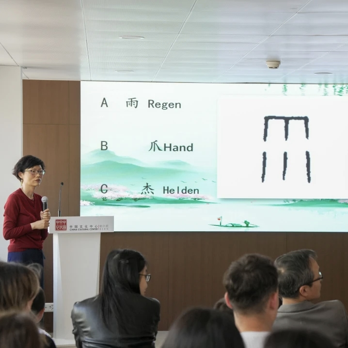 中国与瑞士文化交流合作开启新篇章——伯尔尼中国文化中心正式揭牌(图20)