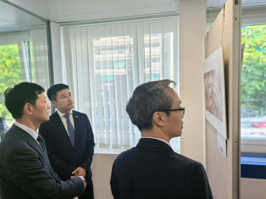 中国与瑞士文化交流合作开启新篇章——伯尔尼中国文化中心正式揭牌(图48)