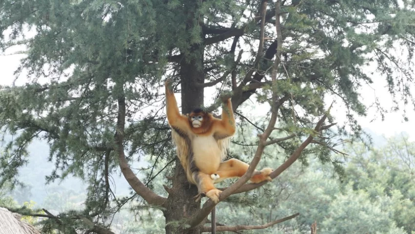 &ldquo;聪明游&rdquo;如何提供旅游新体验？(图3)