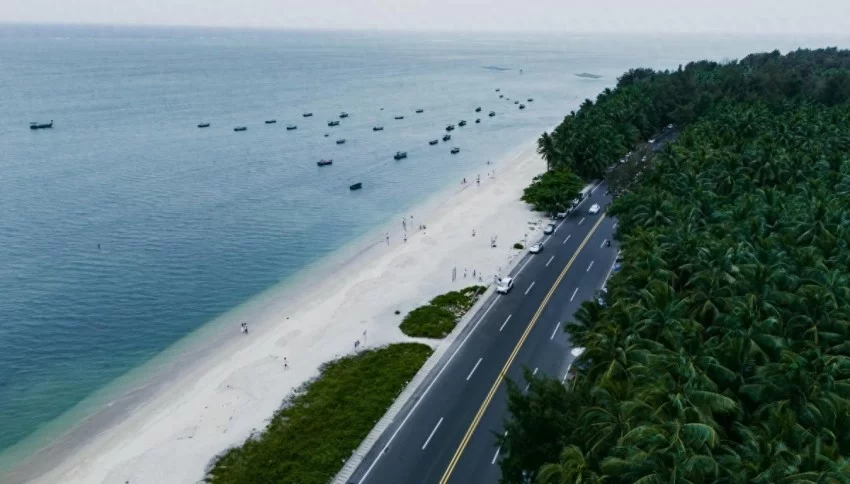 当公路变身风景道，海南做对了什么？(图1)