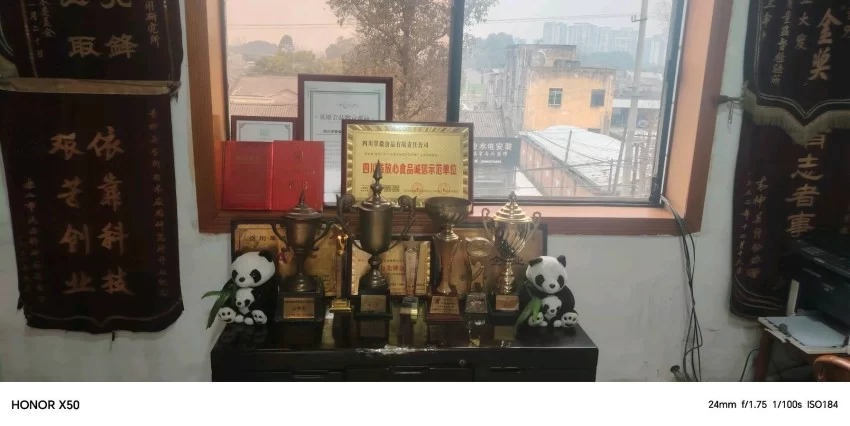 【中岩书院】钢铁脊梁 青神荣光——记四川省模范退役军人张仲安的奇迹人生(图2)