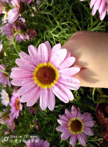 腕间镜头照见美好：小天才电话手表拓宽少年美育新实践(图2)
