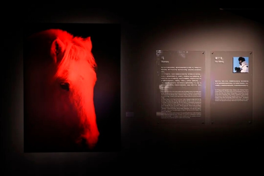 北京摄影周2026“迭现:十四种影像实践的共置艺术展”,多重经验拓展观看边界(图4) 北京摄影周2026“迭现:十四种影像实践的共置艺术展”,多重经验拓展观看边界(图4)