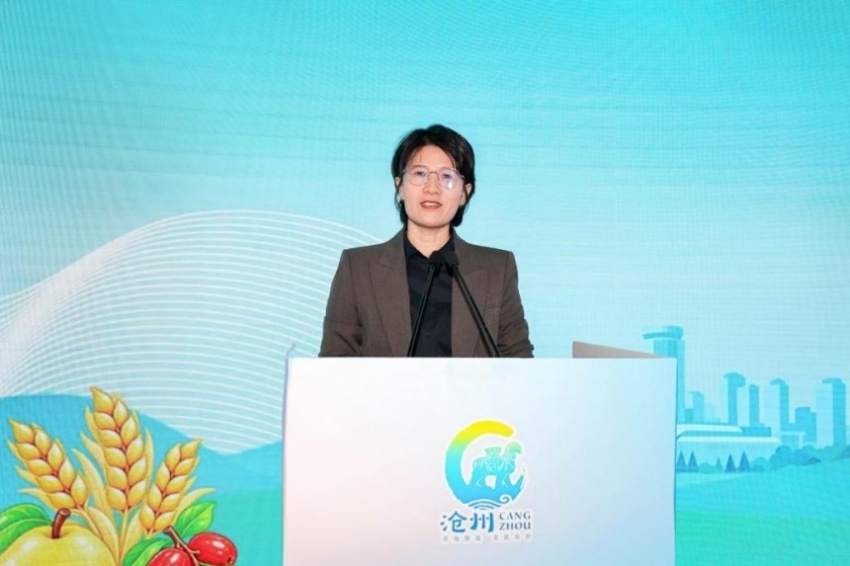 搭建京沧产销协作新桥梁——“渤海粮仓·运河农珍”专场推介在京举办(图4) 搭建京沧产销协作新桥梁——“渤海粮仓·运河农珍”专场推介在京举办(图4)